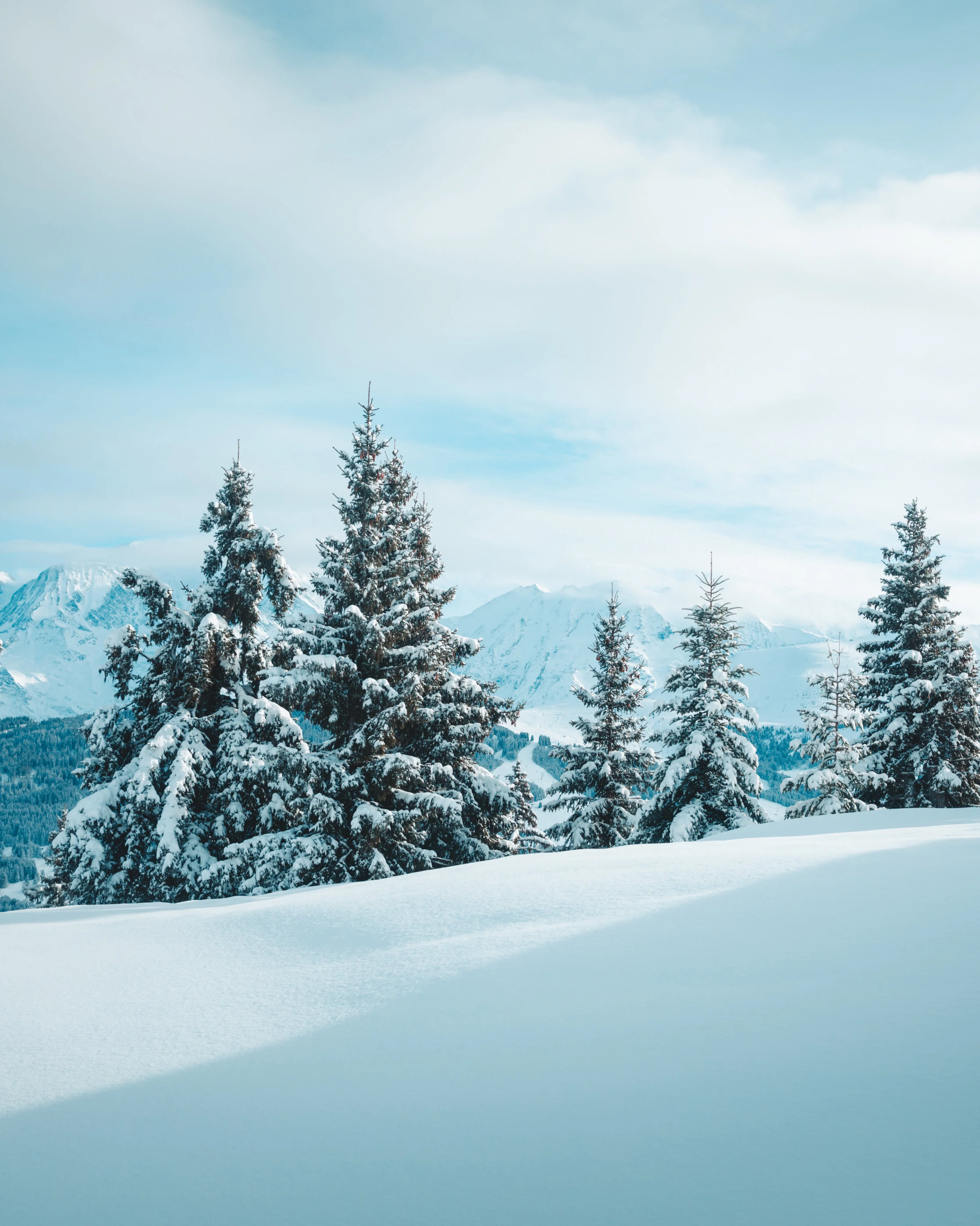 Transport mariage Megève — chauffeur privé et navettes de luxe dans les Alpes